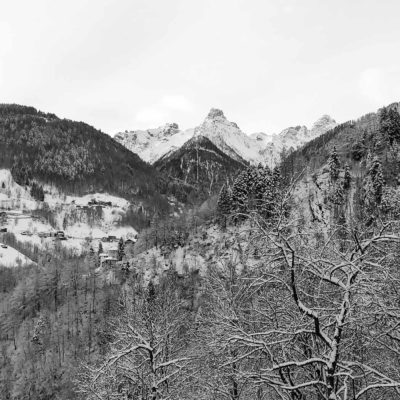 il frutteto il frutteto